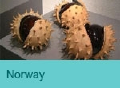 tab_norway