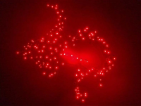 Counter Fragile No 26 (2006), © Tatsuo Miyajima (1)