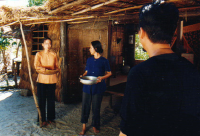 Doi cat (VFI)